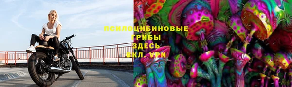 бошки Горно-Алтайск