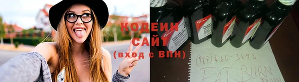 ешки Вяземский
