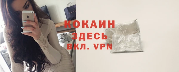 ешки Вяземский