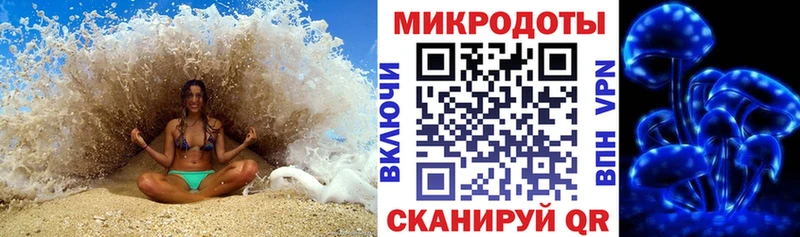 Псилоцибиновые грибы Psilocybe  где купить наркоту  mega зеркало  Данилов 